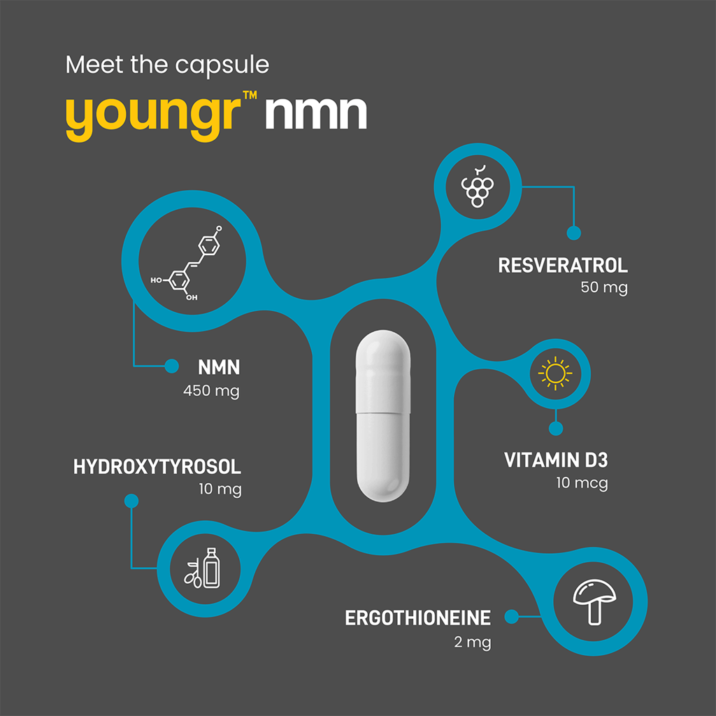Una infografía que detalla los ingredientes de una cápsula Youngr™ NMN, incluyendo NMN, Resveratrol, Vitamina D3, Ergotioneína e Hidroxitirosol.