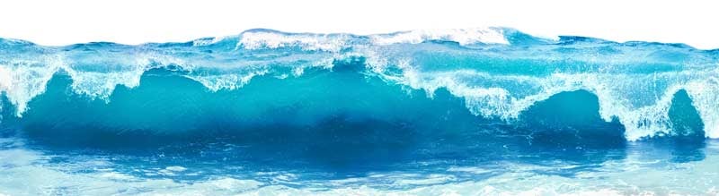 Turquoise wave dreaming with NMN