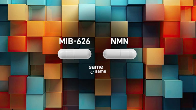 MIB-626 vs NMN