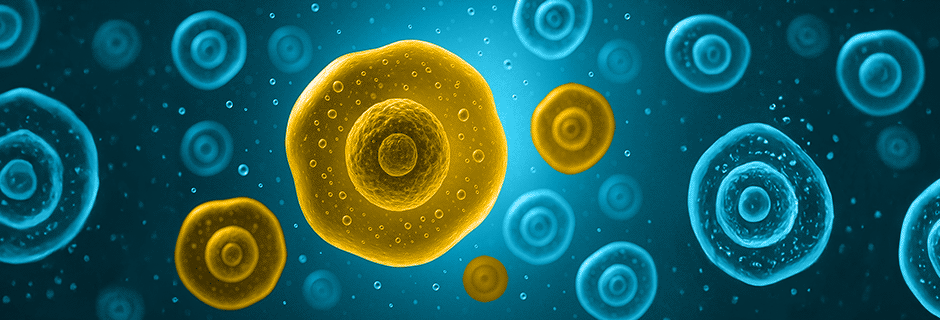 Graphic of healthy and senescent cells floating in a microscopic environment