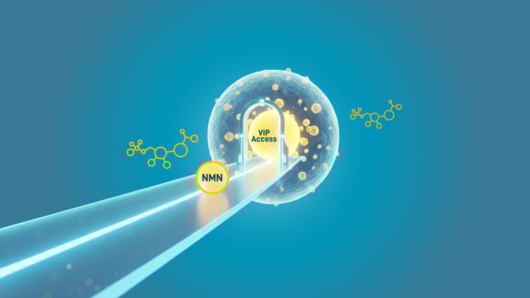 Illustration of NMN entering a cell with ‘VIP access,’ representing NMN’s efficient cellular transport to support NAD levels