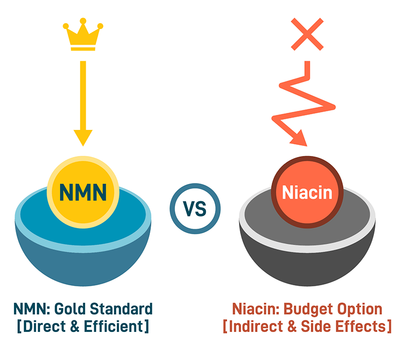 Diagrama que compara las vías del NMN y la niacina, mostrando al NMN como un precursor directo de NAD frente a la vía indirecta de la niacina