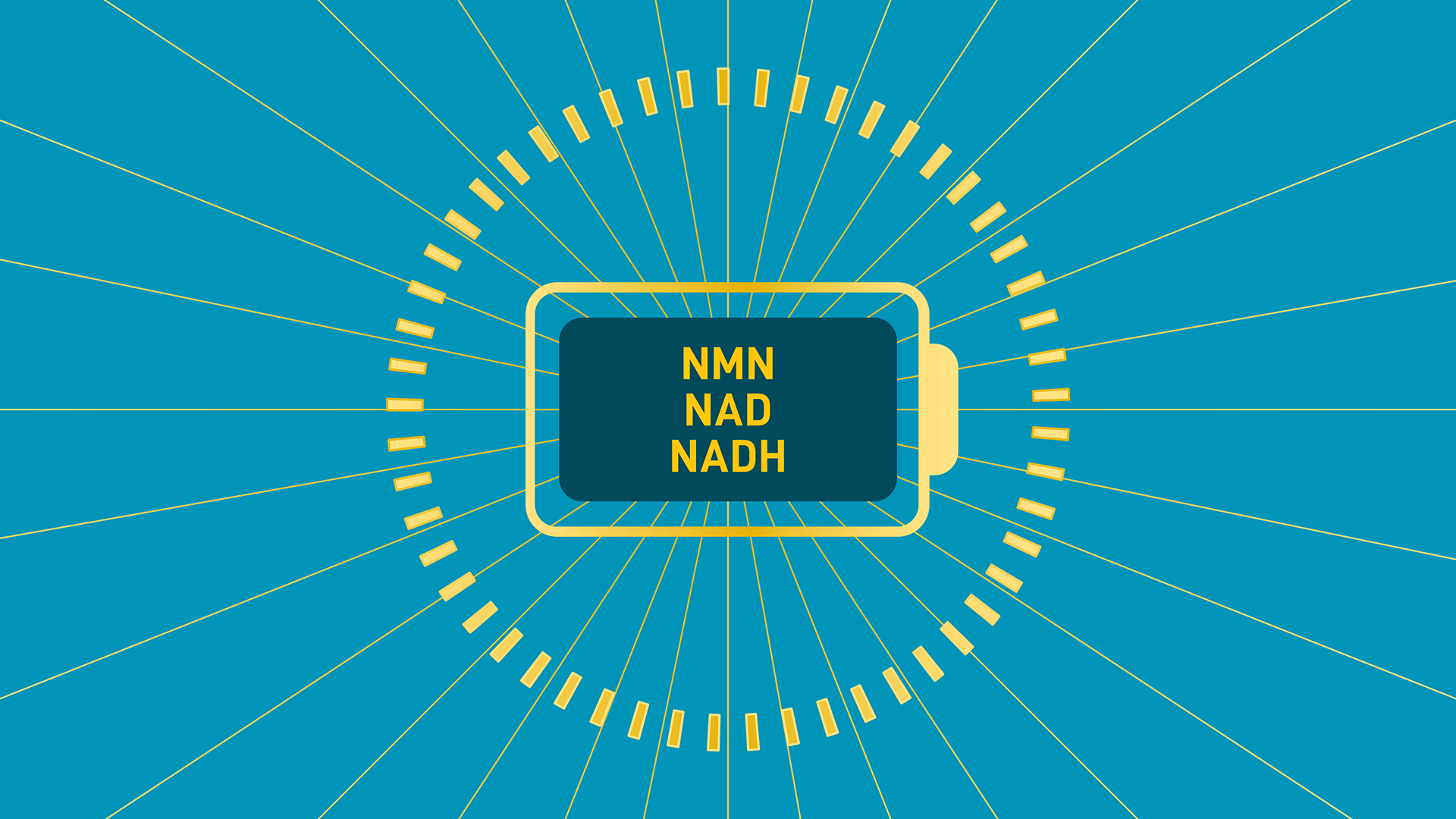 Illustration of NMN, NAD, and NADH connected in a circular energy pattern representing the cellular energy cycle.