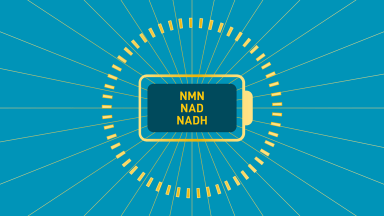 Illustration of NMN, NAD, and NADH connected in a circular energy pattern representing the cellular energy cycle.