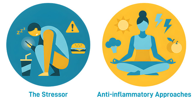Illustration comparing lifestyle factors that promote inflammation, such as poor sleep, stress, processed food, and screen time, with anti-inflammatory habits including healthy eating, exercise, sunlight, and stress management.