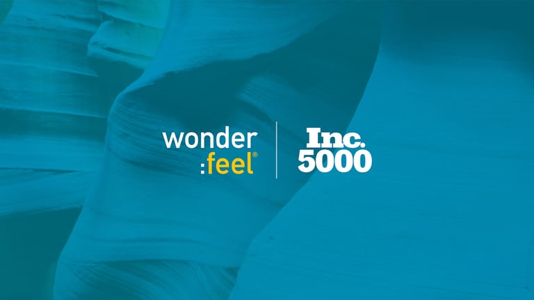 Wonderfeel and Inc. 5000 logos displayed side by side over a blue-toned image of layered rock formations, marking Wonderfeel's inclusion on the 2026 Inc. 5000 list.